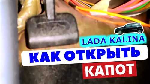 Осмотр